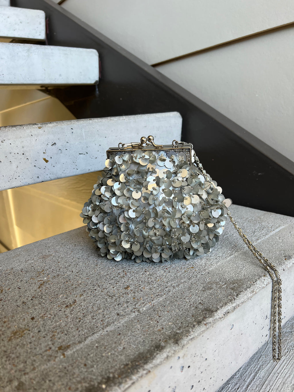 Sequin bag