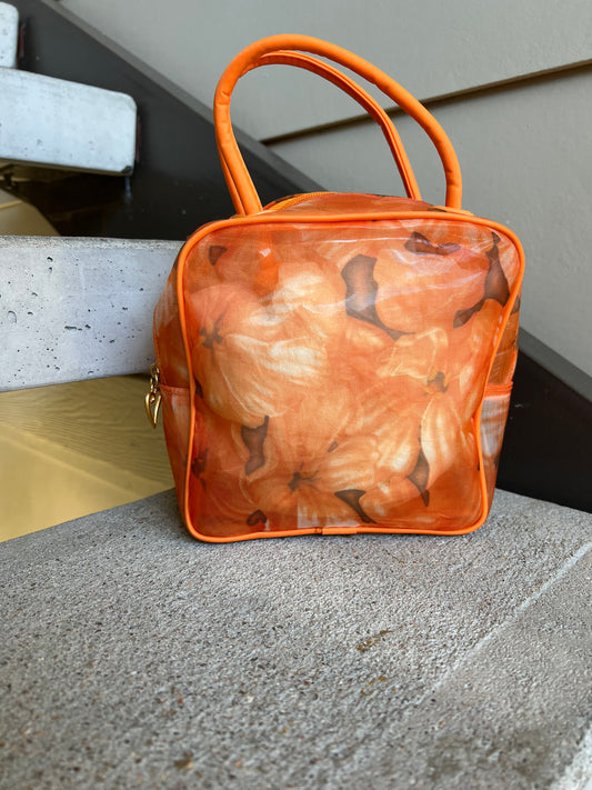 Orange sheer bag